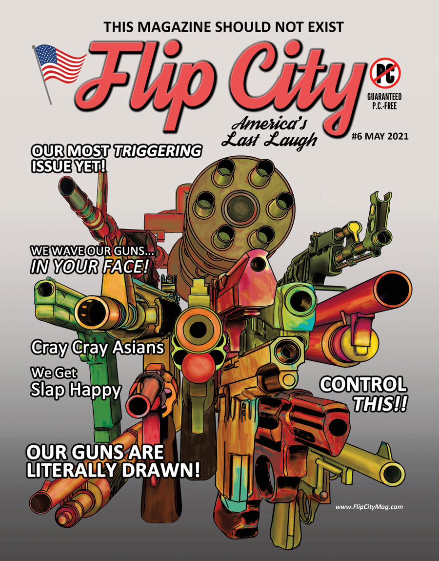Flip City 6 Magazine cover with colorful gun-themed artwork and text on a gray background